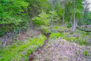 3325 Pack Mountain Rd, Murphy, NC 28906 - Photo 67