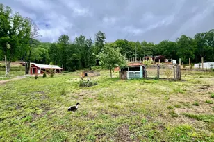 3325 Pack Mountain Rd, Murphy, NC 28906 - Photo 9