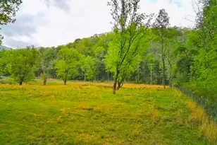 3325 Pack Mountain Rd, Murphy, NC 28906 - Photo 51