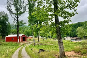 3325 Pack Mountain Rd, Murphy, NC 28906 - Photo 75