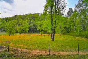 3325 Pack Mountain Rd, Murphy, NC 28906 - Photo 77