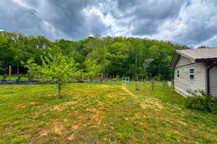 3325 Pack Mountain Rd, Murphy, NC 28906 - Photo 41