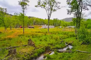 3325 Pack Mountain Rd, Murphy, NC 28906 - Photo 69