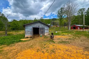 3325 Pack Mountain Rd, Murphy, NC 28906 - Photo 45