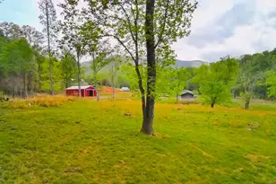 3325 Pack Mountain Rd, Murphy, NC 28906 - Photo 49
