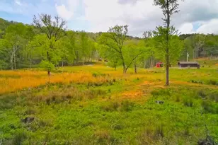 3325 Pack Mountain Rd, Murphy, NC 28906 - Photo 59