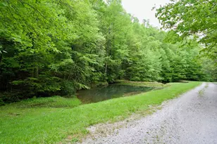 49 Richter Dr, Nantahala, NC 28781 - Photo 33