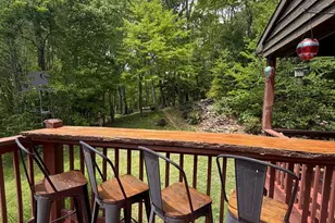 49 Richter Dr, Nantahala, NC 28781 - Photo 59