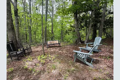 49 Richter Drive, Nantahala, NC 28781 - Photo 45