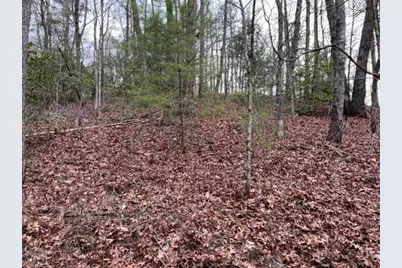 Lot 33 Sahkanaga Drive, Murphy, NC 28906 - Photo 3