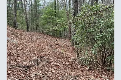 Lot 33 Sahkanaga Drive, Murphy, NC 28906 - Photo 5