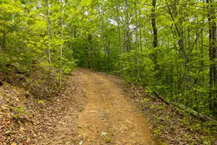 445 Tranquil Cove Rd, Murphy, NC 28906 - Photo 89