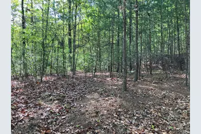 Lt24 Mission Ridge Court, Hayesville, NC 28904 - Photo 5