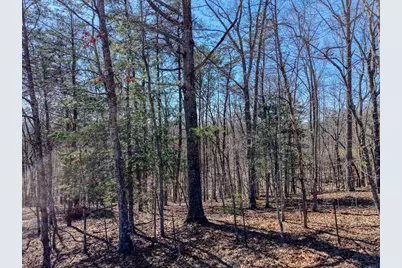 3.46 Acres Smokey Hills, Blairsville, GA 30512 - Photo 5