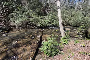 00 Virginia Ln, Murphy, NC 28906 - Photo 1