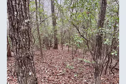 15-19 Indian Rock Springs, Murphy, NC 28906 - Photo 13