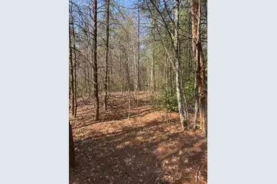 00 Blue Ridge Heights, Hayesville, NC 28906 - Photo 5