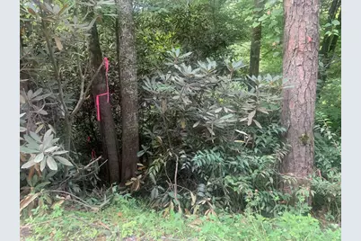 43 Laurel Lane, Murphy, NC 28906 - Photo 3