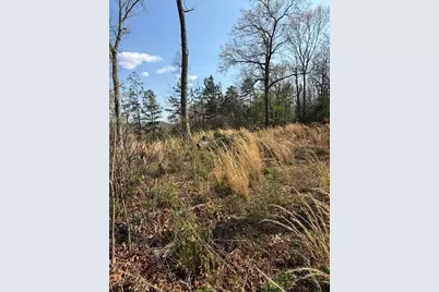 123 Longridge Road, Murphy, NC 28906 - Photo 5
