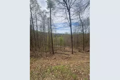 Lot 4 Buck Ridge Drive, Murphy, NC 28906 - Photo 3
