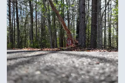 Lot 18 Flowing Springs Drive, Murphy, NC 28906 - Photo 3