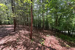 5 Birds View Ln, Murphy, NC 28906 - Photo 1