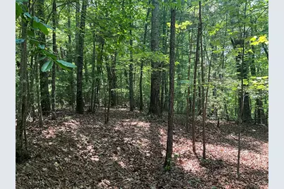 5 Birds View Lane, Murphy, NC 28906 - Photo 13