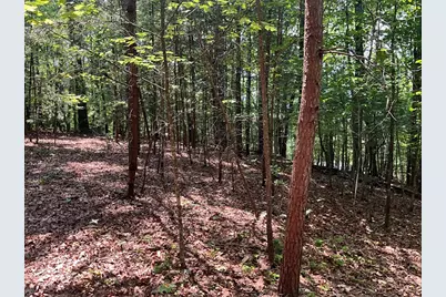5 Birds View Lane, Murphy, NC 28906 - Photo 11