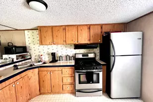 254 Joyces, Nantahala, NC 28781 - Photo 13