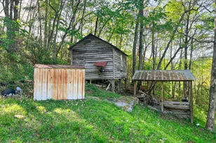 254 Joyces, Nantahala, NC 28781 - Photo 9