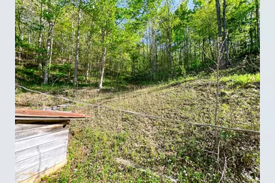 254 Joyces, Nantahala, NC 28781 - Photo 23