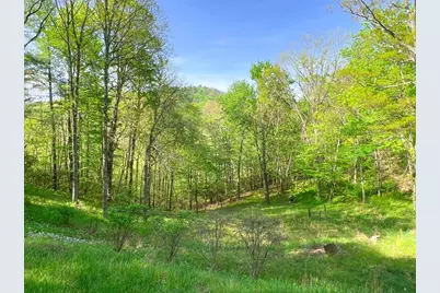 254 Joyces, Nantahala, NC 28781 - Photo 7