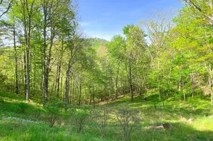 254 Joyces, Nantahala, NC 28781 - Photo 7