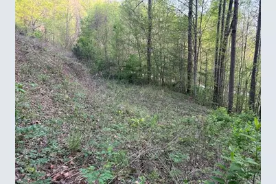 0 Yellow Branch State Rd.1267, Robbinsville, NC 28771 - Photo 1