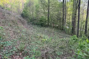 0 Yellow Branch State Rd 1267, Robbinsville, NC 28771 - Photo 1