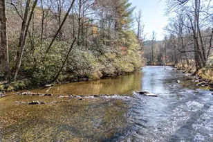 165 Riverview Dr, Robbinsville, NC 28771 - Photo 47