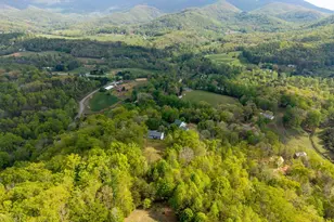 619 Pounding Mill Loop, Hayesville, NC 28904 - Photo 13