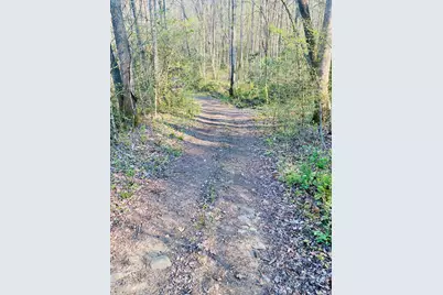 Lot 5 Carringer Road, Robbinsville, NC 28771 - Photo 13