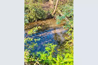 Lot 5 Carringer Road, Robbinsville, NC 28771 - Photo 3
