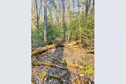 Lot 5 Carringer Road, Robbinsville, NC 28771 - Photo 11