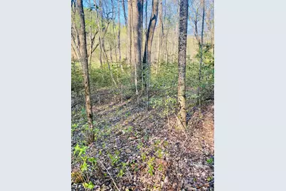 Lot 5 Carringer Road, Robbinsville, NC 28771 - Photo 5