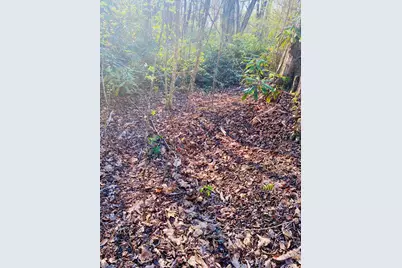 Lot 5 Carringer Road, Robbinsville, NC 28771 - Photo 7