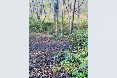 Lot 5 Carringer Road, Robbinsville, NC 28771 - Photo 9