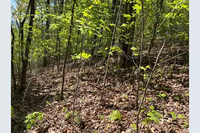 Lot 11J Ash Branch View, Hayesville, NC 28904 - Photo 5