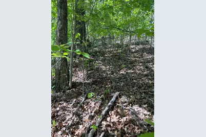 Lot 11J Ash Branch View, Hayesville, NC 28904 - Photo 7