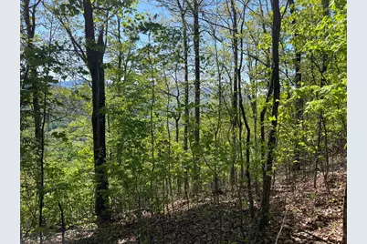 Lot 11J Ash Branch View, Hayesville, NC 28904 - Photo 3