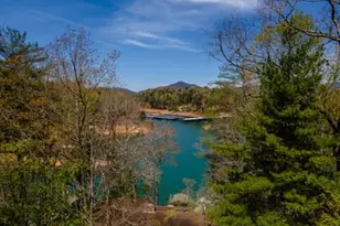 1227 Village Rd, Murphy, NC 28906 - Photo 3