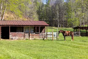 853 Caler Rd, Brasstown, NC 28902 - Photo 119