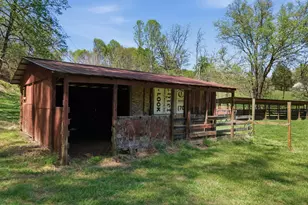 853 Caler Rd, Brasstown, NC 28902 - Photo 115