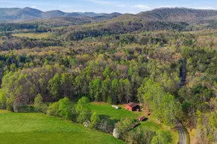 853 Caler Rd, Brasstown, NC 28902 - Photo 113